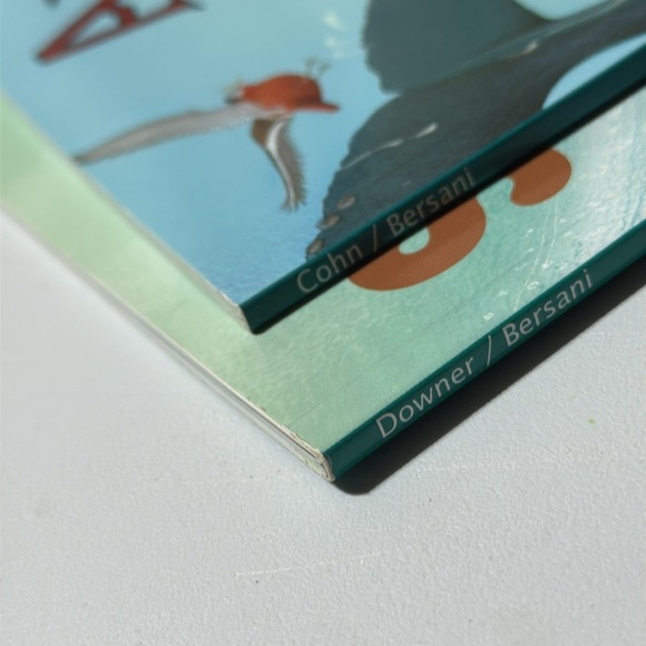 BUNDLE of 2 | Kids | paperback books - Picture 9 of 9